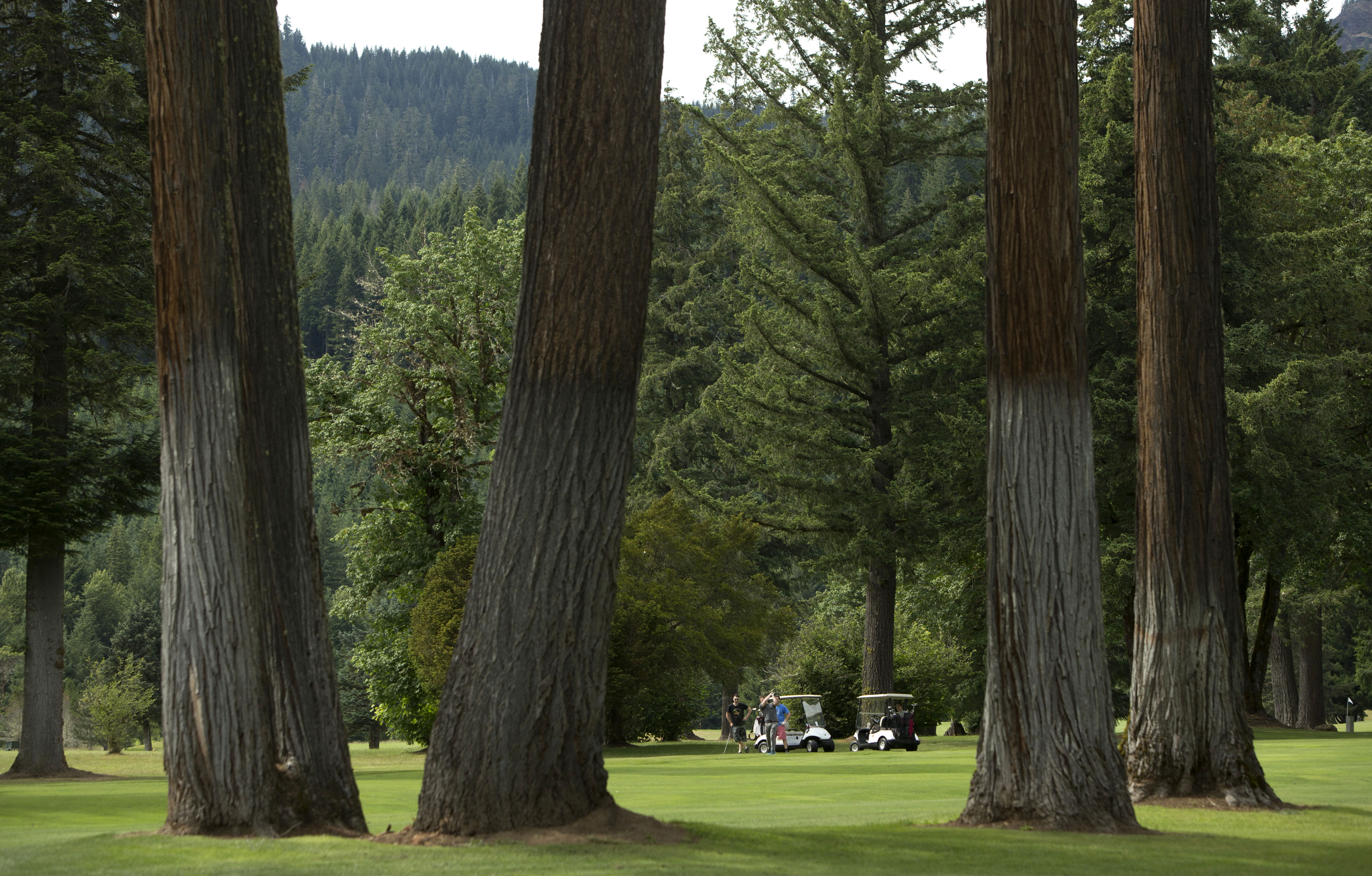 Tokatee Golf Club: Still halfway to heaven